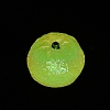 Luminous Fruit Resin Drnament CRES-CJC0009-14H-3