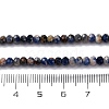 Natural Sodalite Beads Strands G-G139-B22-01-5