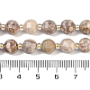 Natural Conch Fossil Beads Strands G-G182-B37-03-5