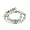 Natural Labradorite Beads Strands G-G828-01-10mm-2