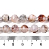 Natural Cherry Blossom Agate Beads Strands G-G182-B40-03-5