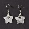 Natutal Quartz Crystal Dangle Earrings EJEW-F343-C06-2