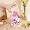 Arch Glass Dome Cover AJEW-WH0596-866D-02-3