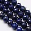 Grade A Natural Lapis Lazuli Round Bead Strands X-G-M264-13-1