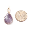 Natural Amethyst Copper Wire Wrapped Pendants PALLOY-JF01398-04-2