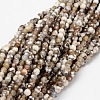 Faceted Natural Agate Round Beads Strands X-G-E318B-4mm-01-1