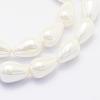 Shell Pearl Beads Strands BSHE-P024-02-3