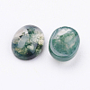 Natural Moss Agate Cabochons X-G-F517-21-2