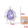 Glass Rhinestone Pendants FIND-WH0021-91S-08-1