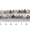 Natural Labradorite Beads Strands G-K380-A44-04-5