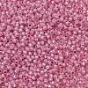 TOHO 11/0 Round Beads X-SEED-TR11-PF2106-2
