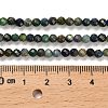 Natural Chrysocolla and Lapis Lazuli Beads Strands G-K373-B04-04-5