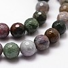 Natural Indian Agate Beads Strands G-G736-31-8mm-3