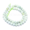 Natural Myanmar Jade/Burmese Jade Beads Strands G-K310-C05-8mm-2