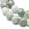 Natural Myanmar Jade/Burmese Jade Beads Strands G-D0001-08-8mm-3