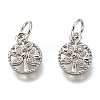 Brass Micro Pave Clear Cubic Zirconia Charms ZIRC-B002-66P-1