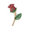 Alloy Rhinestone Brooches JEWB-H028-02G-01-1