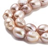 Natural Cultured Freshwater Pearl Beads Strands PEAR-P062-30E-4