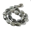 Natural Labradorite Beads Strands G-L242-35-3