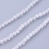 Natural Rainbow Moonstone Beads Strands G-F619-19-2mm-1