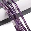 Natural Lepidolite/Purple Mica Stone Beads Strands G-NH0001-E04-01-2