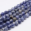 Natural Blue Spot Jasper Bead Strands X-G-R193-15-6mm-1