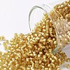 TOHO Round Seed Beads SEED-XTR11-0022BF-1