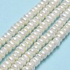 Natural Cultured Freshwater Pearl Beads Strands PEAR-A005-04B-01-2