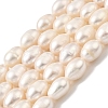 Natural Cultured Freshwater Pearl Beads Strands PEAR-I007-01E-05A-2