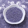 MIYUKI Delica Beads SEED-MY11-DB0250-2