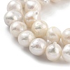 Natural Cultured Freshwater Pearl Beads Strands PEAR-C003-15A-4