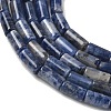 Natural Sodalite Beads Strands G-B091-A24-01-4