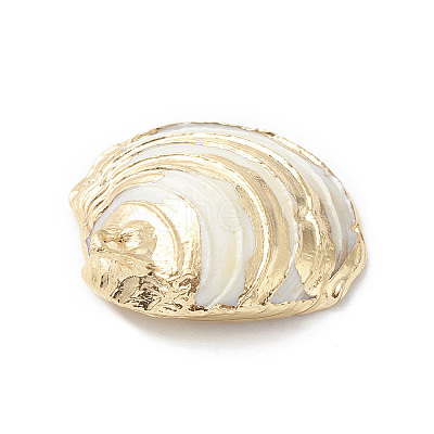 Natural Sea Shell Pendants SHEL-F005-06LG-1