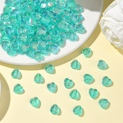 Transparent Acrylic Beads LS-PL539-837-1