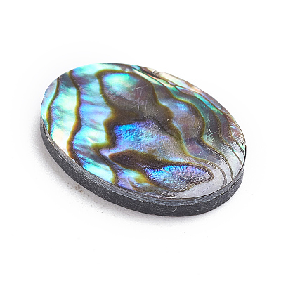 Natural Abalone Shell/Paua Shell Cabochons LS-SSHEL-L017-003-1