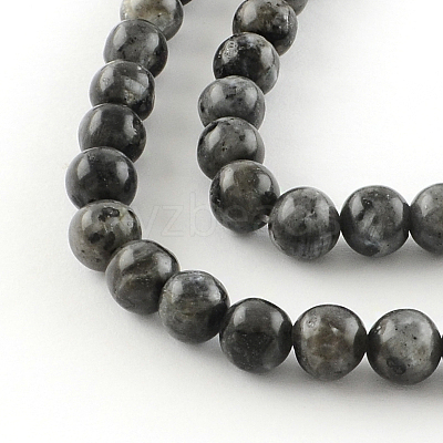 Natural Larvikite Round Beads Strands G-R342-6mm-09-1