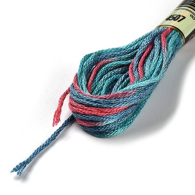 10 Skeins 6-Ply Polyester Embroidery Floss OCOR-K006-A61-1