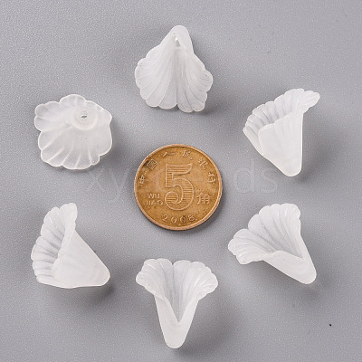 Transparent Acrylic Bead Caps PL551-1