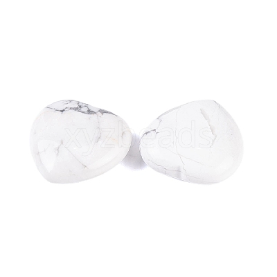 Natural Howlite Healing Stones G-G020-01-01-1