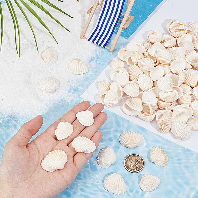 300Pcs Natural Shell Beads SSHEL-SP0001-03-1