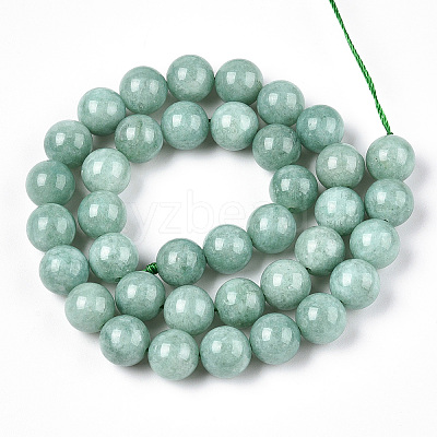 Natural Myanmar Jade/Burmese Jade Beads Strands X-G-T064-22-10mm-1