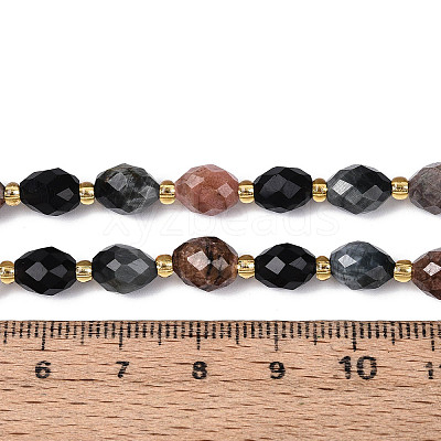 Natural Rhodonite & Eagle Eye & Obsidian Beads Strands G-N358-04A-03-1