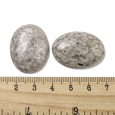 Natural Maifanite Cabochons G-C115-01B-30-1