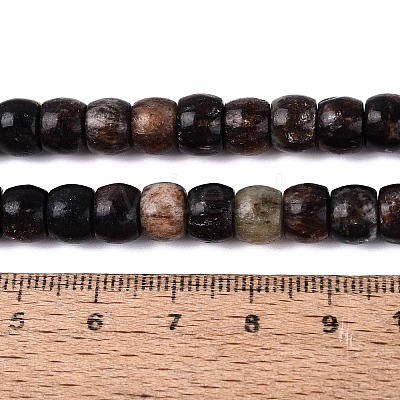 Natural Biotite Beads Strands G-Q616-02A-11-1
