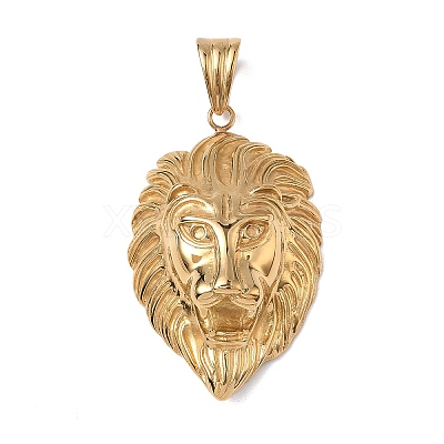 304 Stainless Steel Big Pendants STAS-F333-01G-1