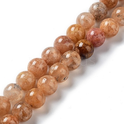 Natural Flower Agate Beads Strands G-B044-A01-01-1
