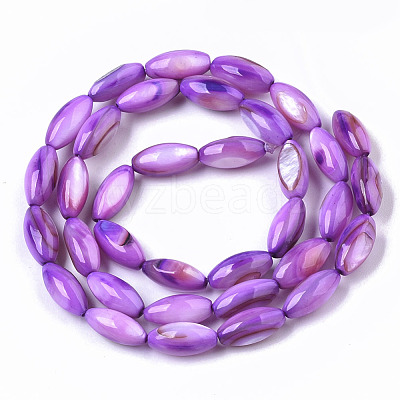 Natural Freshwater Shell Beads SHEL-R047-02C-1