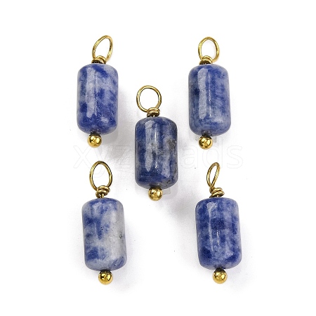 Natural Sodalite Cloumn Pendants STAS-H221-04G-06-1