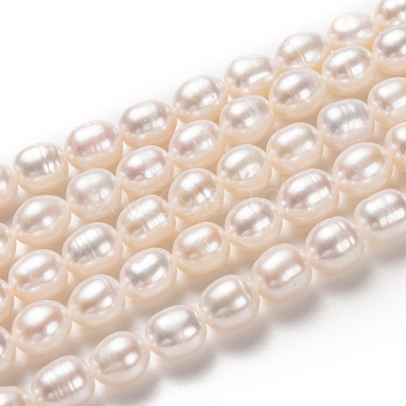 Natural Cultured Freshwater Pearl Beads Strands PEAR-L033-75-01-1