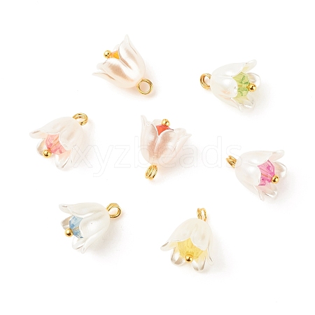 Spray Painted ABS Plastic Imitation Pearl Charms PALLOY-JF01603-04-1